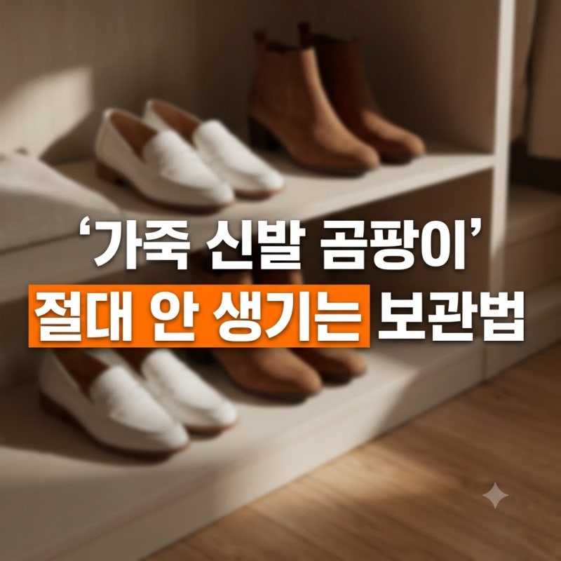 계절 바뀔 때마다 반복되는 가죽 신발 곰팡이 예방 보관법
