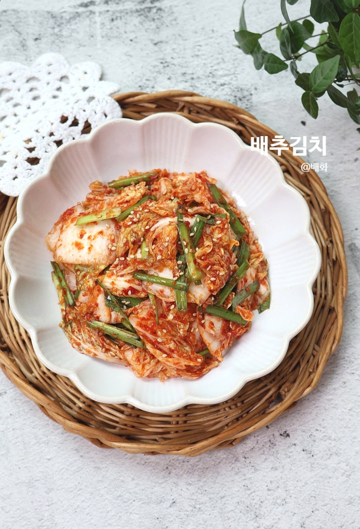 알배추 겉절이 레시피 배추김치 담그는법