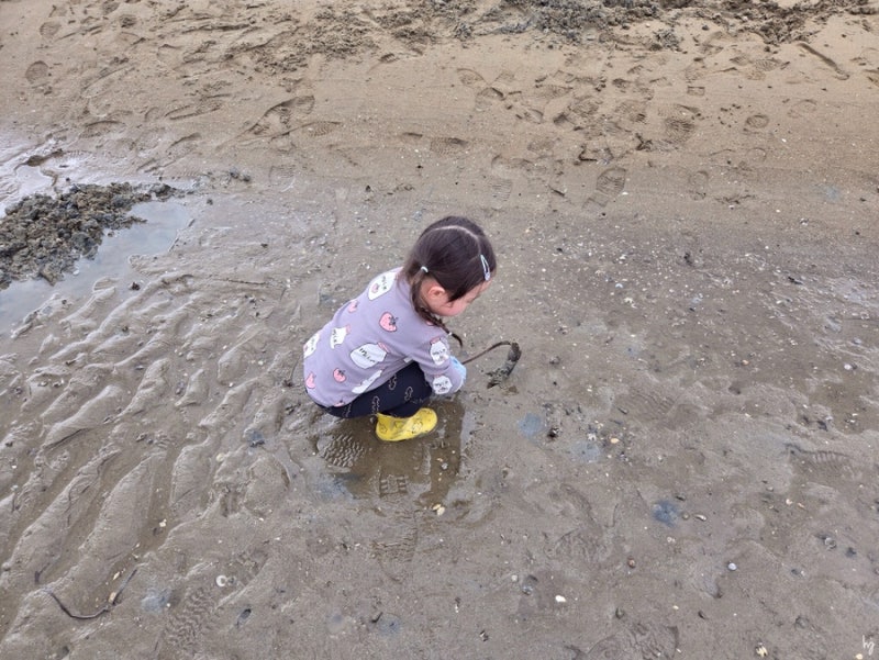 Namhae Tidal Flat Experience: Mudskipper and Clam Catching at Geumcheon Tidal Flat