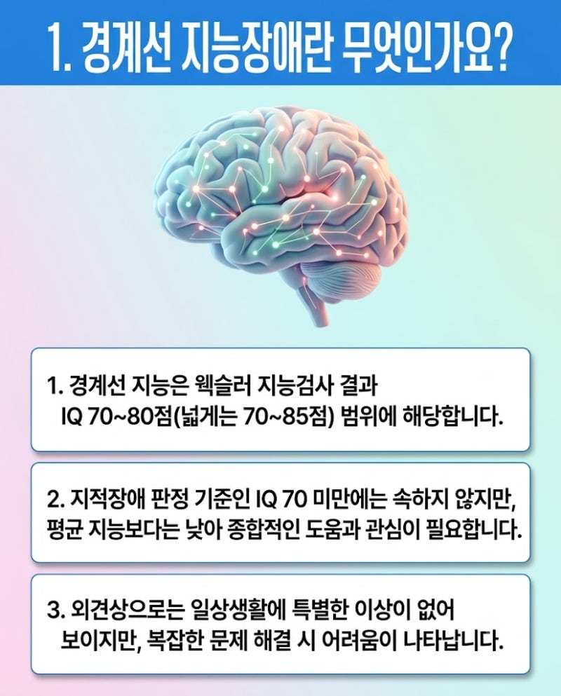 성인 경계선 지능장애 증상과 특징, 웩슬러 지능검사 핵심 정리