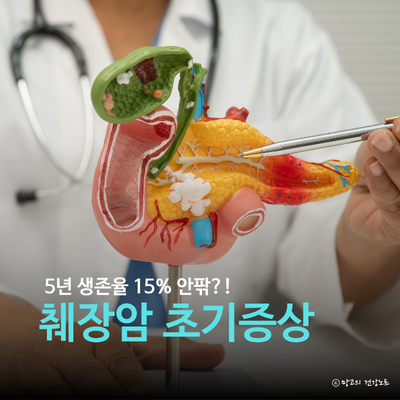 췌장암 초기증상 원인 생존율 예방법 검사방법