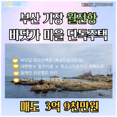 [매매 매도] 부산 기장 월전 죽성리 단독주택 바닷길데크산책로 드림세트장 월전계획도로 개발호재