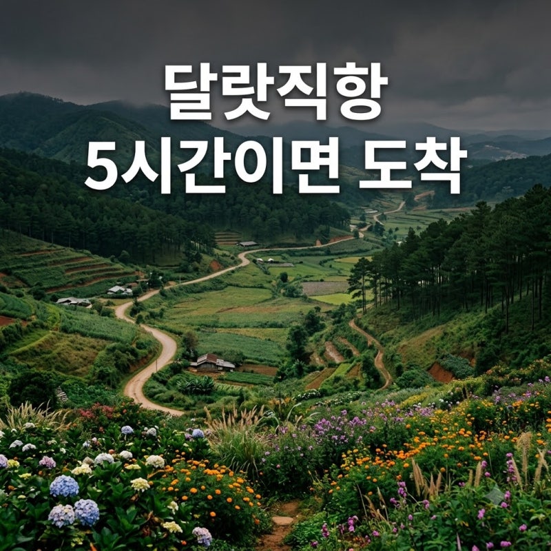 "매일 2번씩 뜬다고?" 달랏직항 노선 늘어나자마자 예약 폭주한 진짜 이유..