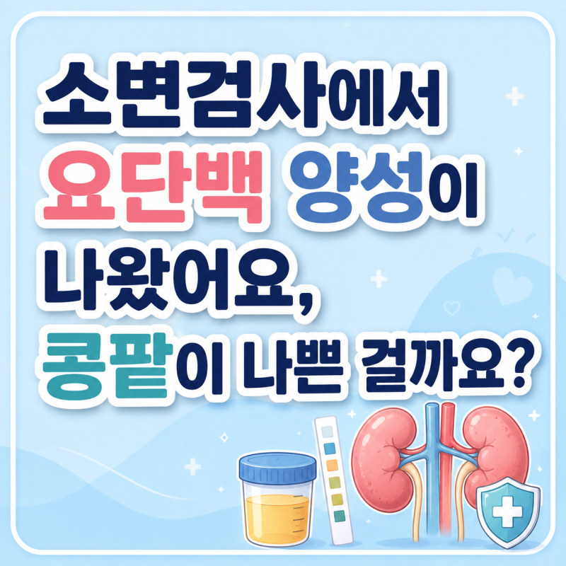 소변검사에서 요단백 양성이나왔어요, 콩팥이 나쁜 걸까요?