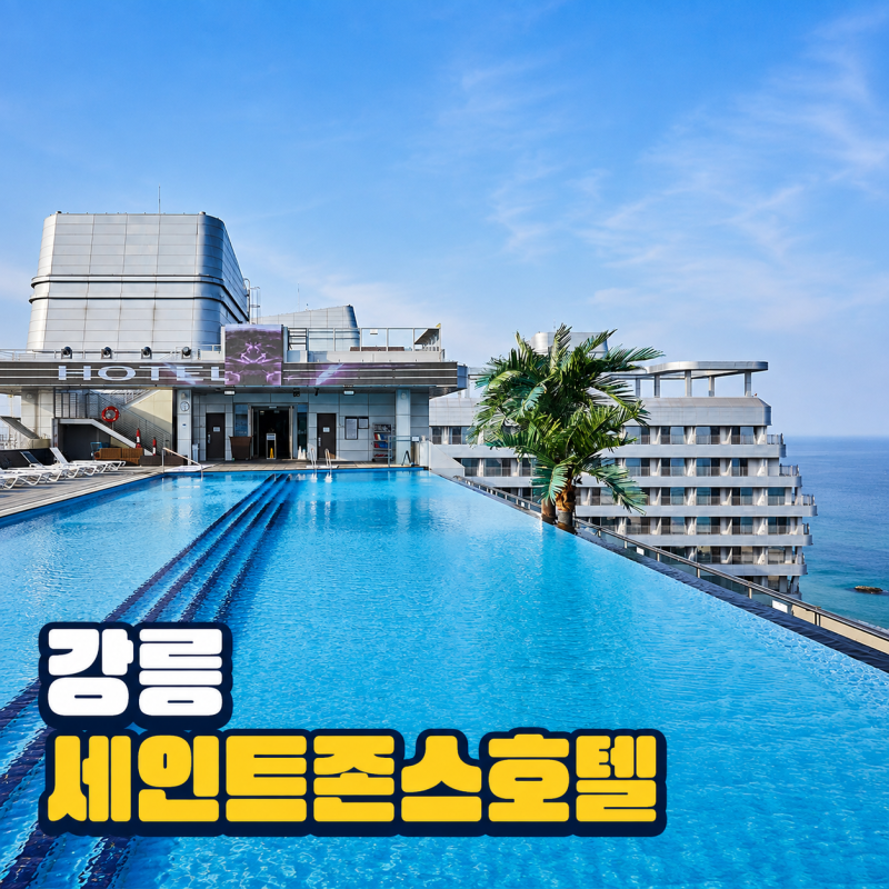 강릉 세인트존스호텔 수영장 사우나 조식 가격 애견동반 펫룸 후기