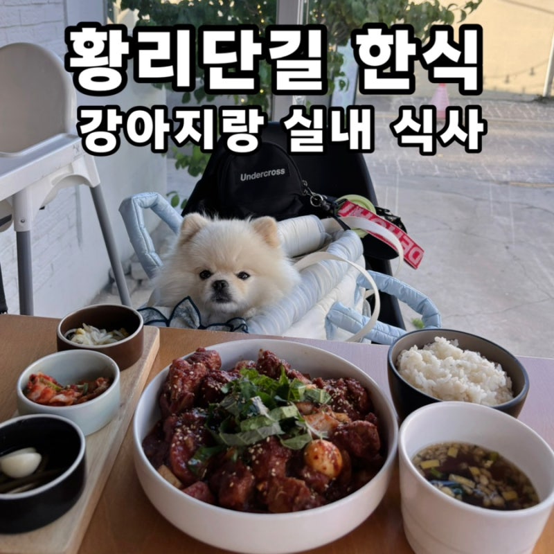 경주 황리단길 애견동반 식당 황남식탁 | 실내동반 한식 갈비찜 혼밥 후기