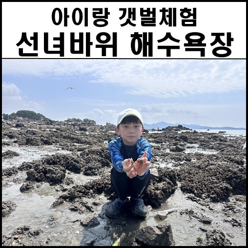선녀바위 해수욕장 무료 갯벌체험 소라잡이 영종도 물때 정보