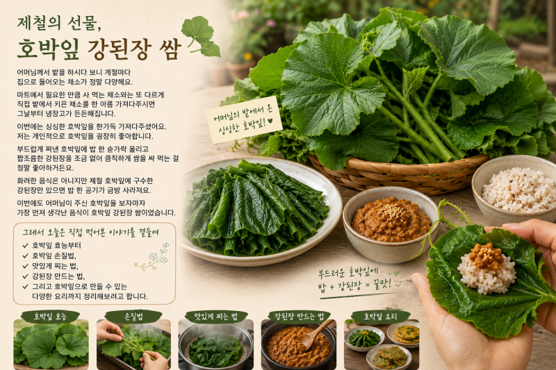 호박잎 효능과 맛있게 먹는 법｜호박잎 찌는 법부터 강된장·다양한 요리까지