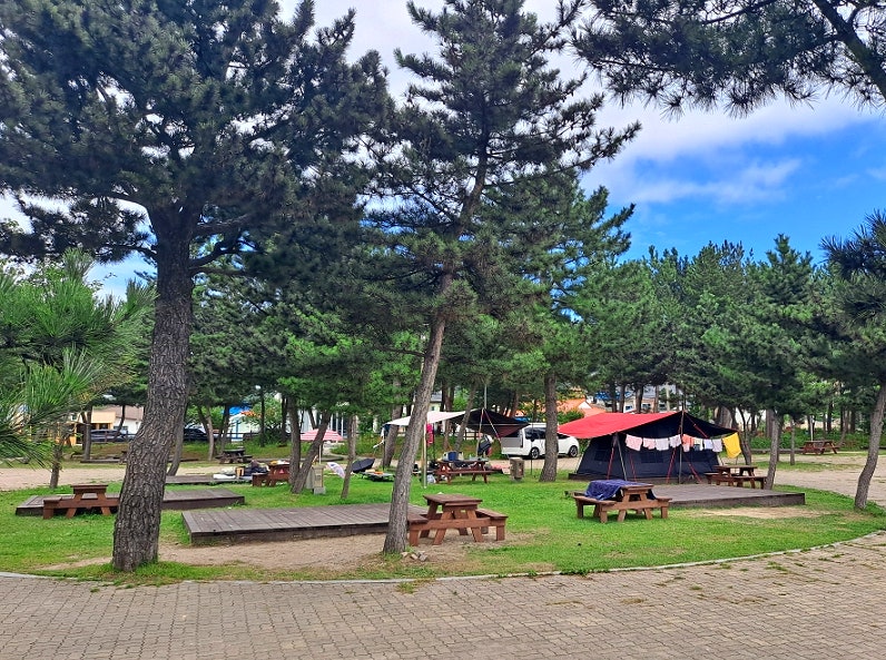 Goseong, Gangwon-do Campsite: Baekdo Auto Campground - How to Reserve, Fees, Best Sites, and Facilities