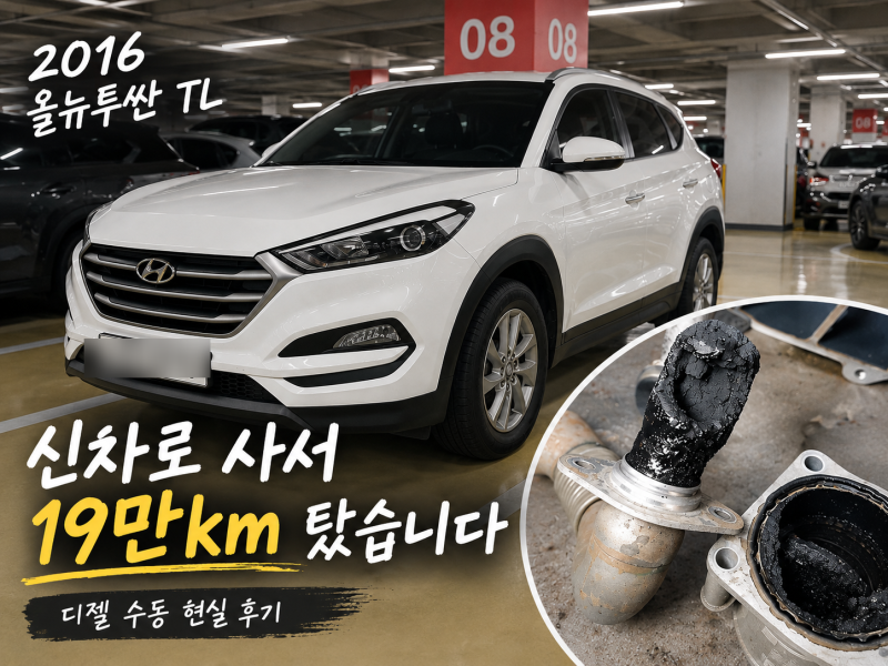 2016 올뉴투싼 TL 디젤 수동 19만km 후기｜DPF 경고등·흡기 카본 제거까지