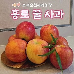 [홍로 꿀사과]소백순천사과농장 "홍로사과 꿀사과" 선물세트 2.5kg 배송 후기
