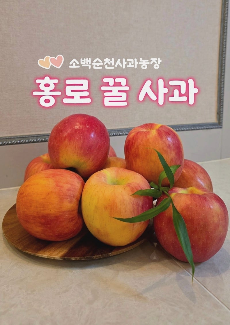 [홍로 꿀사과]소백순천사과농장 "홍로사과 꿀사과" 선물세트 2.5kg 배송 후기