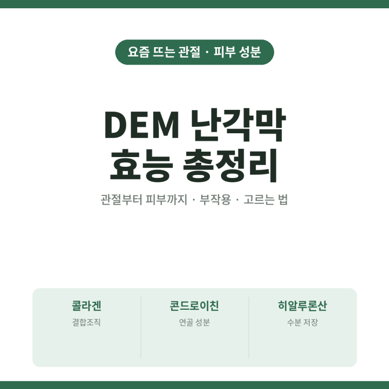 DEM 난각막 효능·부작용·고르는 법 한 번에 정리