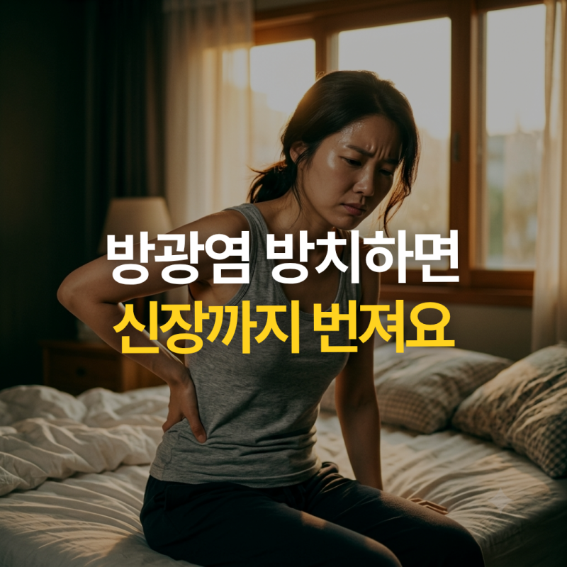 단순 방광염인 줄 알았는데 고열과 옆구리 통증이? 신우신염 위험 신호 총정리