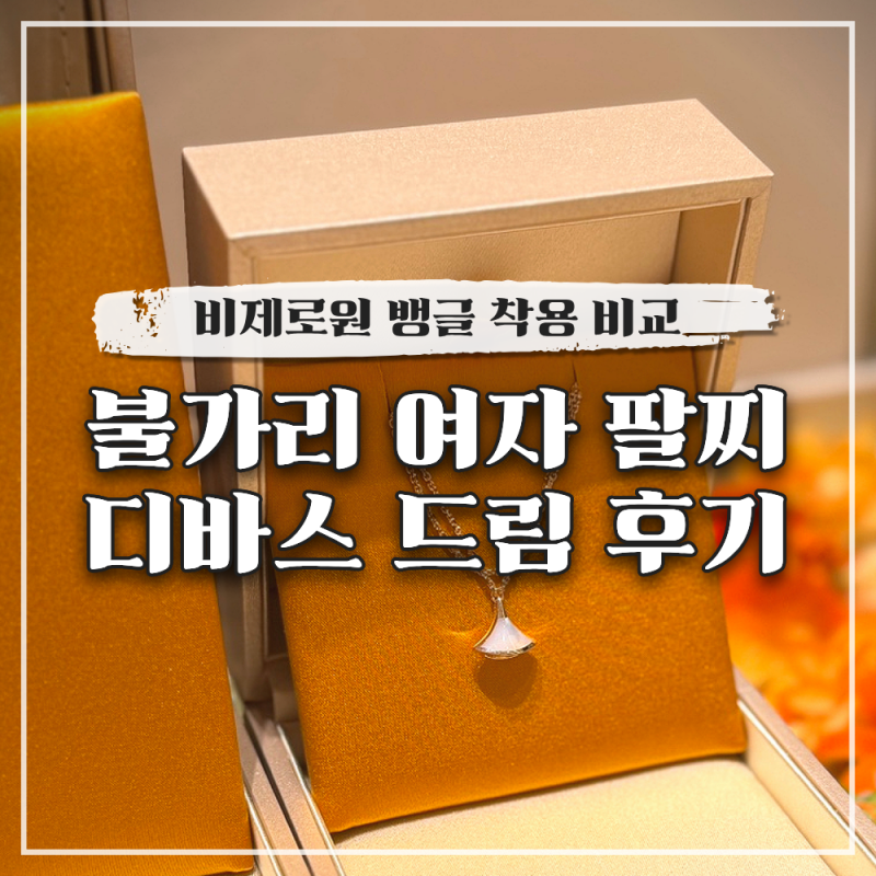 불가리 여자 팔찌 디바스 드림 구매 후기 비제로원 뱅글 착용 비교