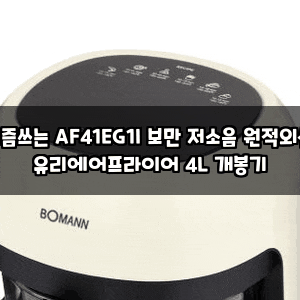 요즘쓰는 AF41EG1I 보만 저소음 원적외선 유리에어프라이어 4L 개봉기