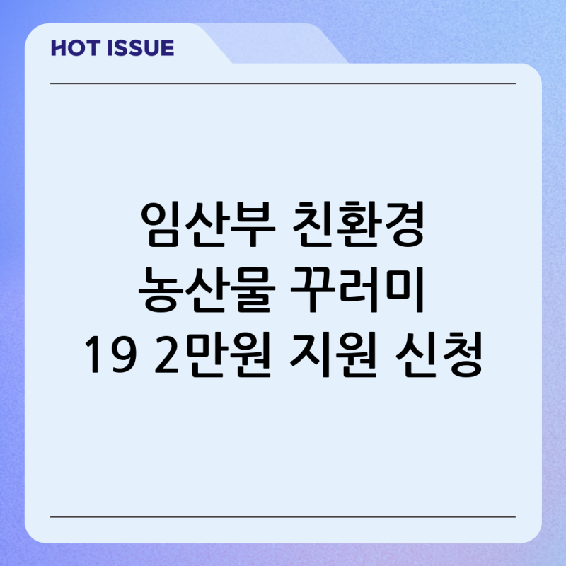 임산부 친환경 농산물 꾸러미 19 2만원 지원 신청 방법 9월에도 가능한 지역은
