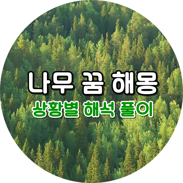 나무심는꿈 나무꿈해몽 상황별 풀이