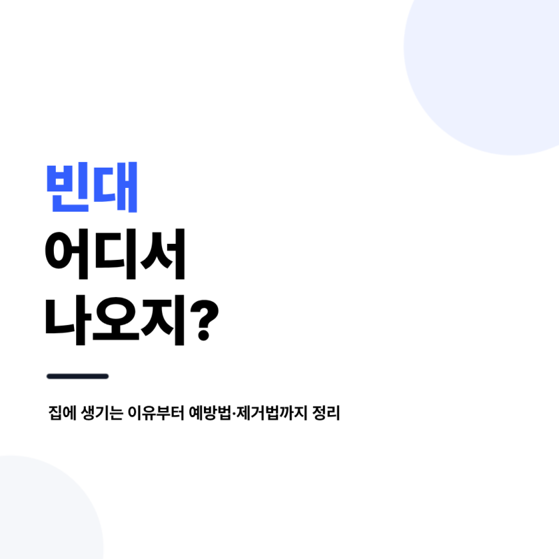 빈대 어디서 나오지? 집에 생기는 이유부터 예방법·제거법까지 정리
