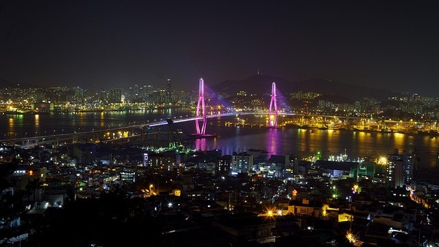 제31회 부산국제영화제(BIFF)