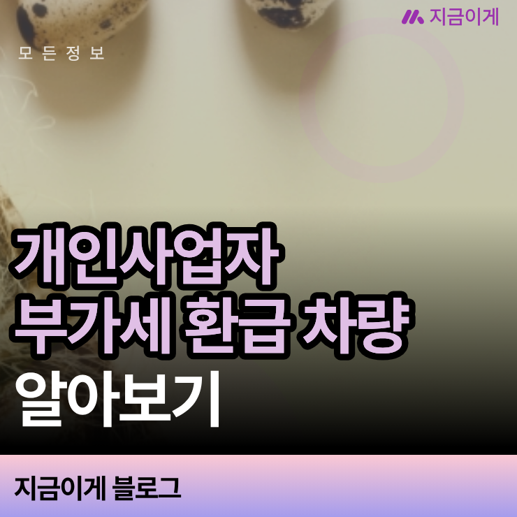 개인사업자 부가세 환급 차량 조건과 공제 가능 차종 구분법