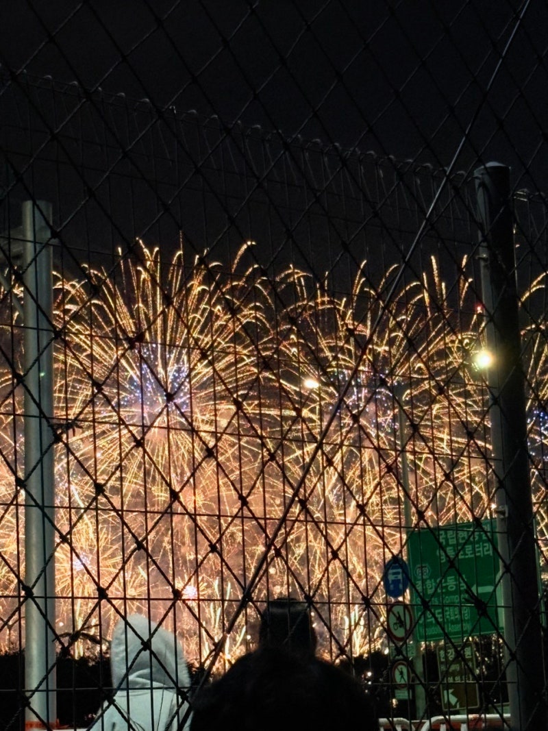 2026 여의도 불꽃축제 명당 노량진 수산시장 축구장 주차장 개방시간 텐트 시야 후기