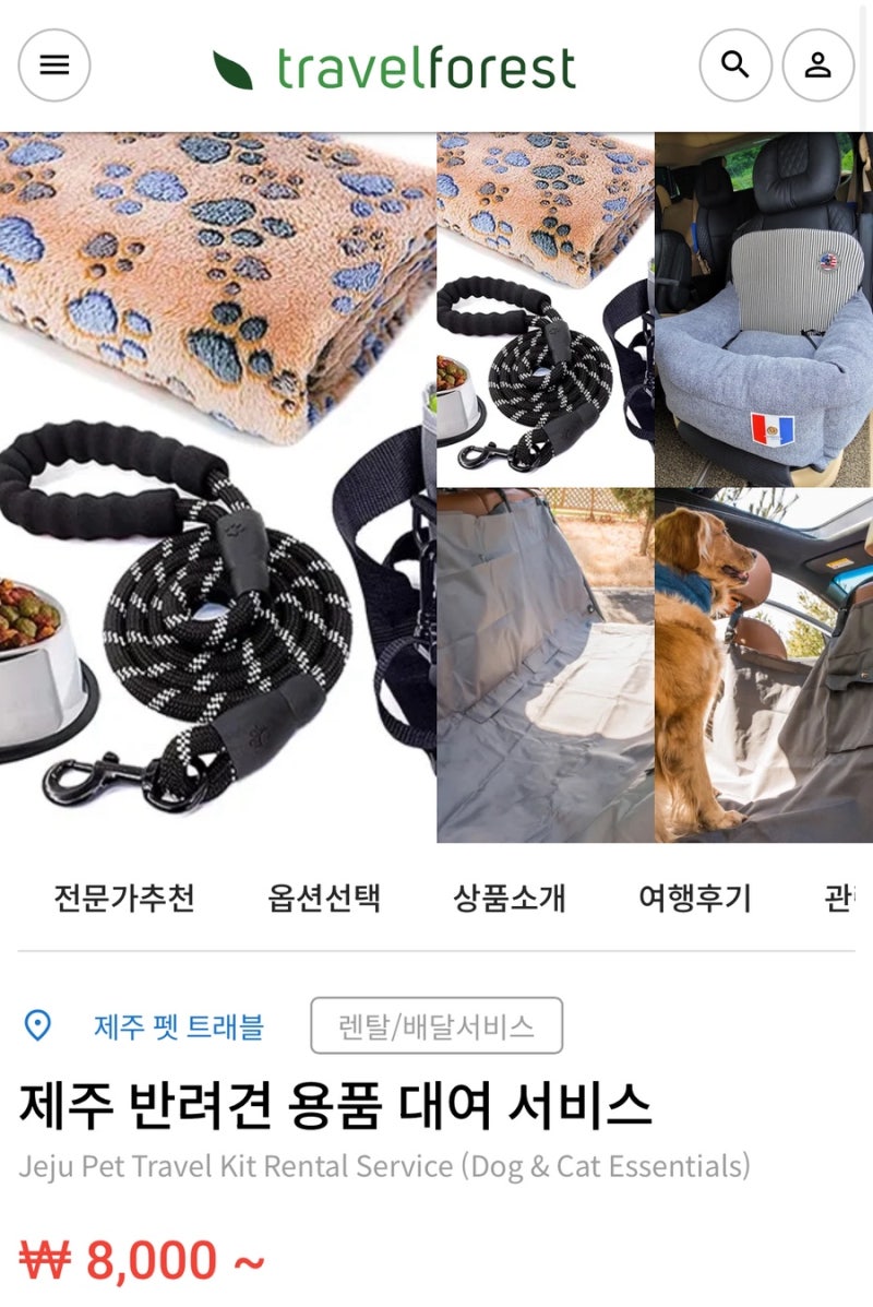 댕댕이랑 가성비 제주 여행 경비 확 줄이는 법! 렌트카 따로, 제주도개모차 따로 (ft. 트래블....