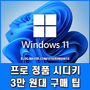 윈도우11 프로 정품 시디키 3만 원대 구매 팁과 FPP OEM 차이