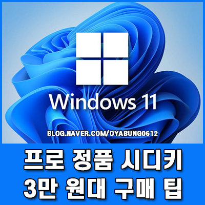 윈도우11 프로 정품 시디키 3만 원대 구매 팁과 FPP OEM 차이