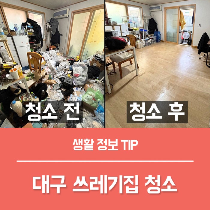 쓰레기집청소 대구 특수청소 비용은? 우아한정리 현장 후기!
