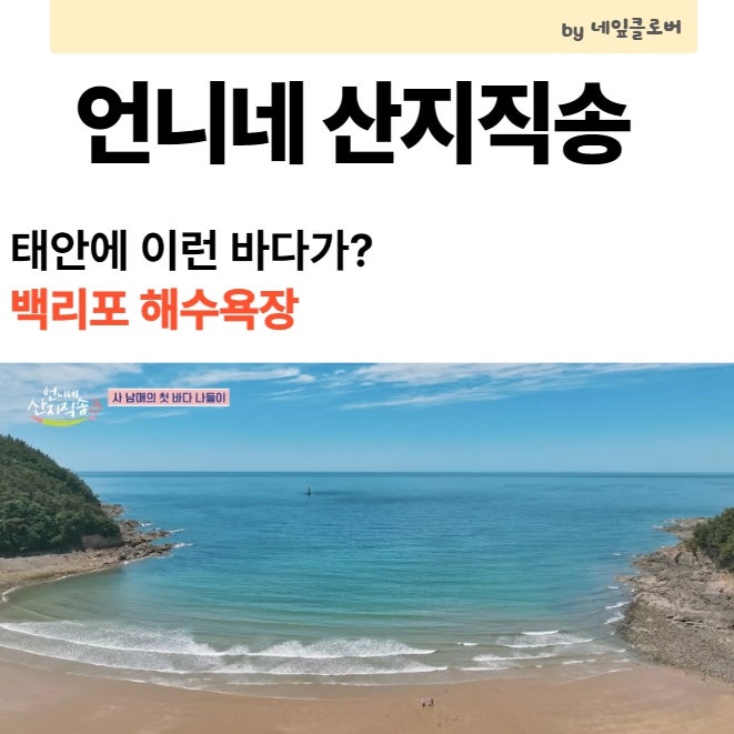 언니네 산지직송 태안 바다 어디? 노란 꽃길 백리포 해수욕장