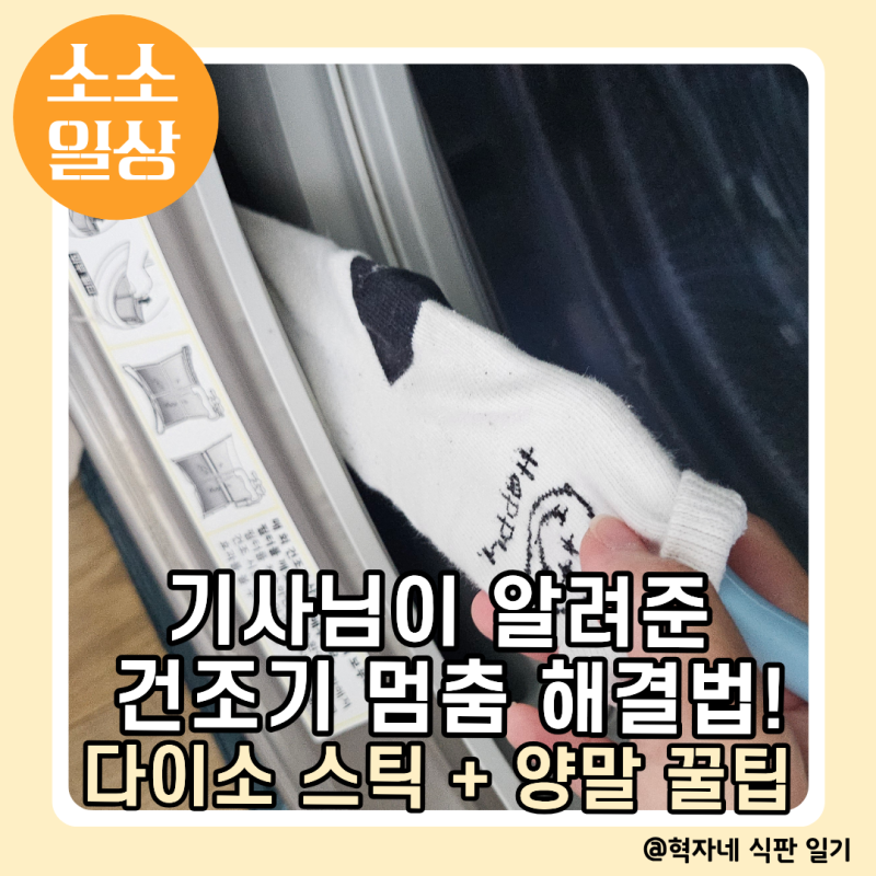 LG 트롬 건조기 멈춤 에러 해결! 기사님이 알려준 콘덴서 수동 세척 & 다이소 스틱 양말 꿀팁