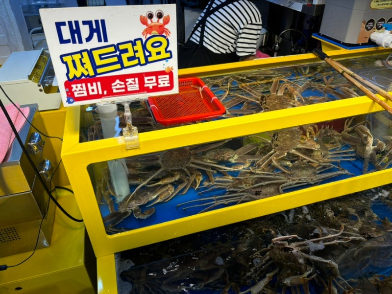 강릉중앙시장맛집 강릉 대게랑젓갈 대게 포장 후기