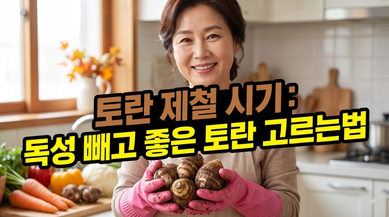 토란대 제철 시기, 독성 빼고 좋은 토란 고르는법