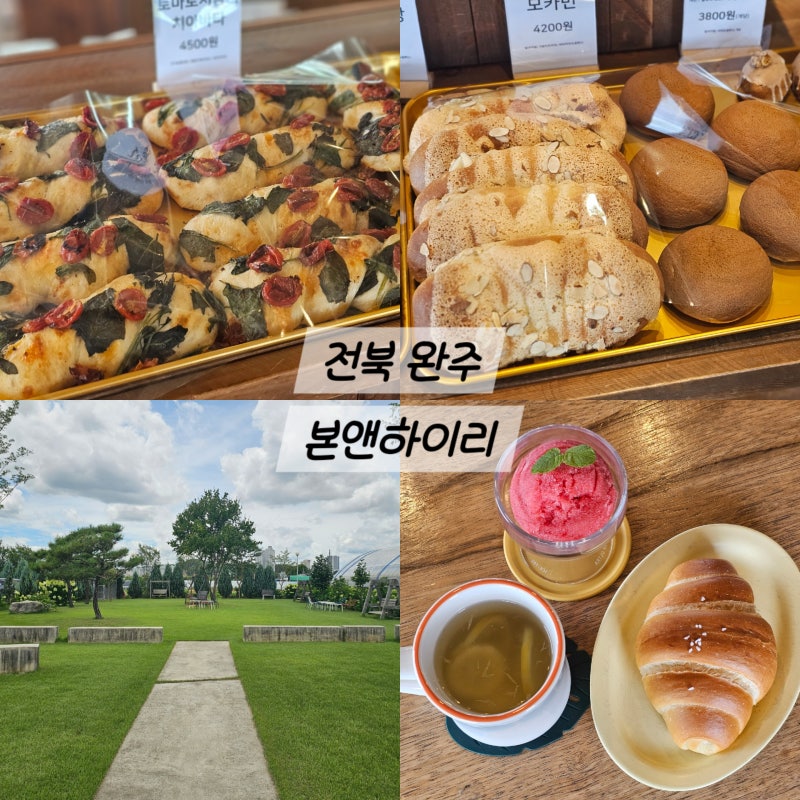 완주카페 본앤하이리 전주근교가볼만한곳 레몬체험농장