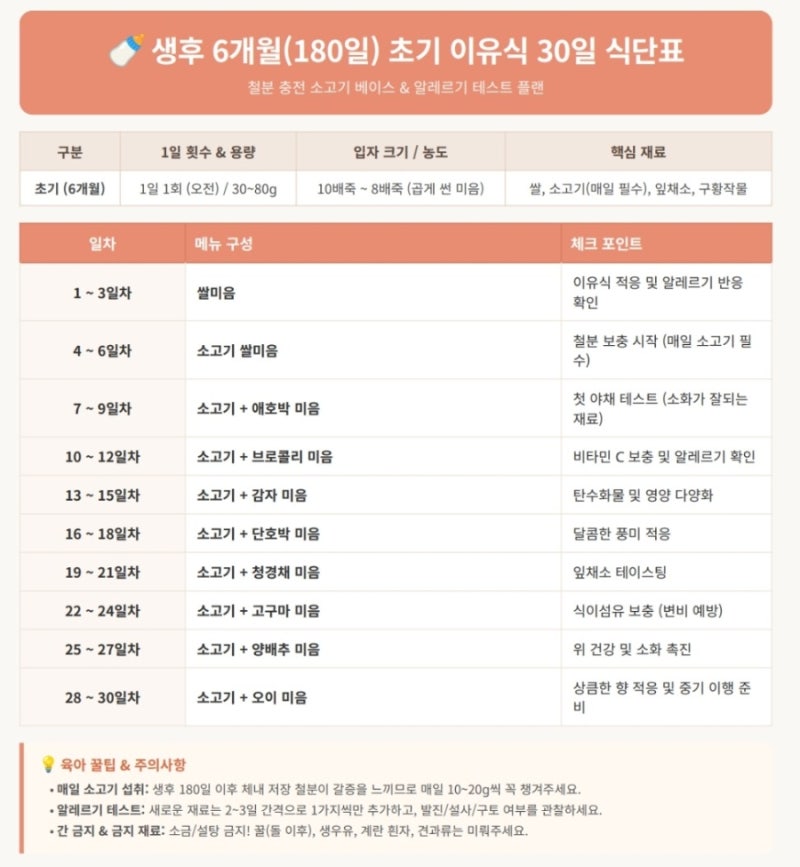 6개월 아기 첫 이유식 언제 시작할까? 준비물부터 개월별 용량·주의사항·30일 식단표 총정리