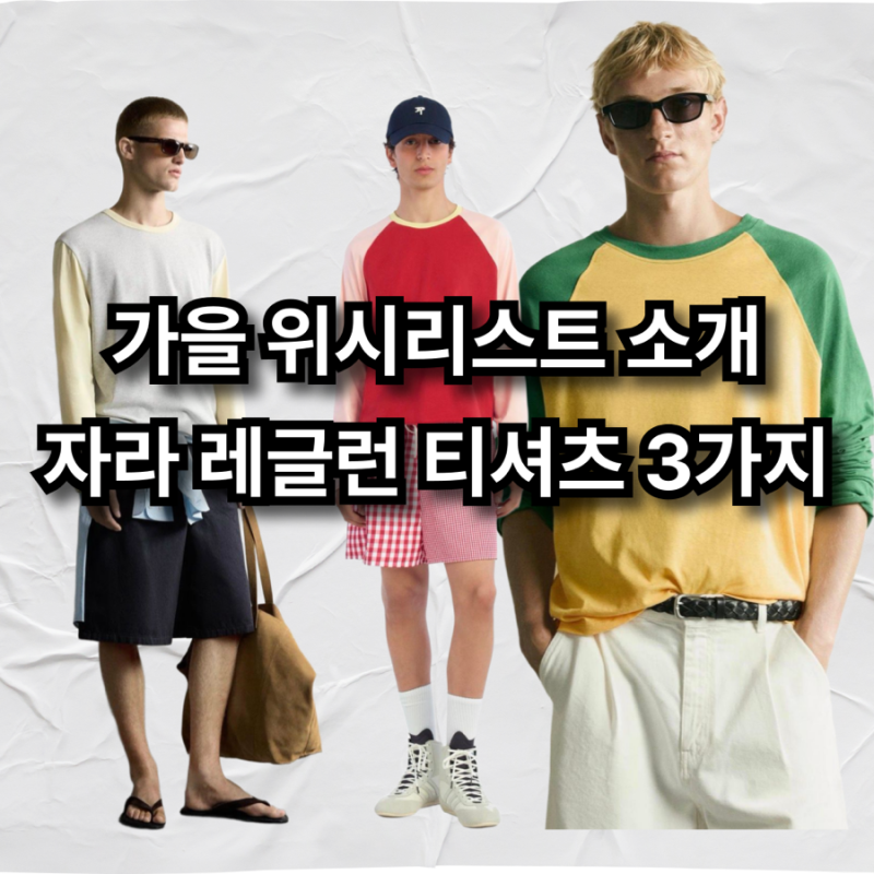 가을 맞이 자라 위시리스트 레글런 티셔츠 3가지 소개