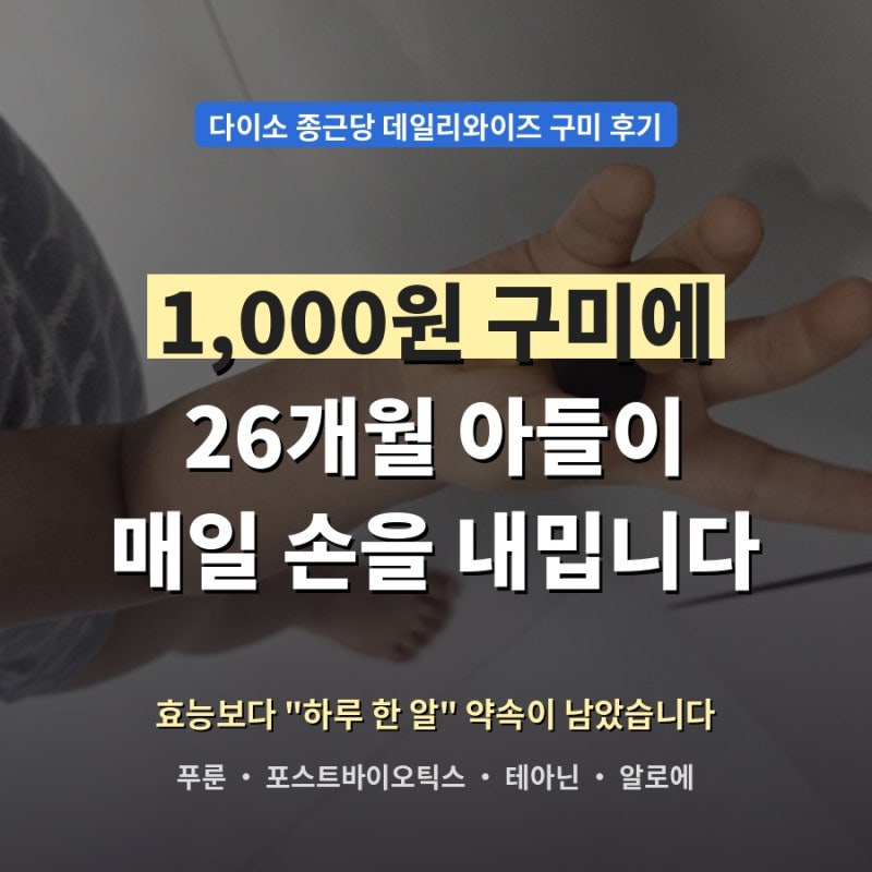[내돈내산] 아기 간식 아이 건강기능식품 (건기식) 다이소 종근당 데일리와이즈 구미 후기,1,0....