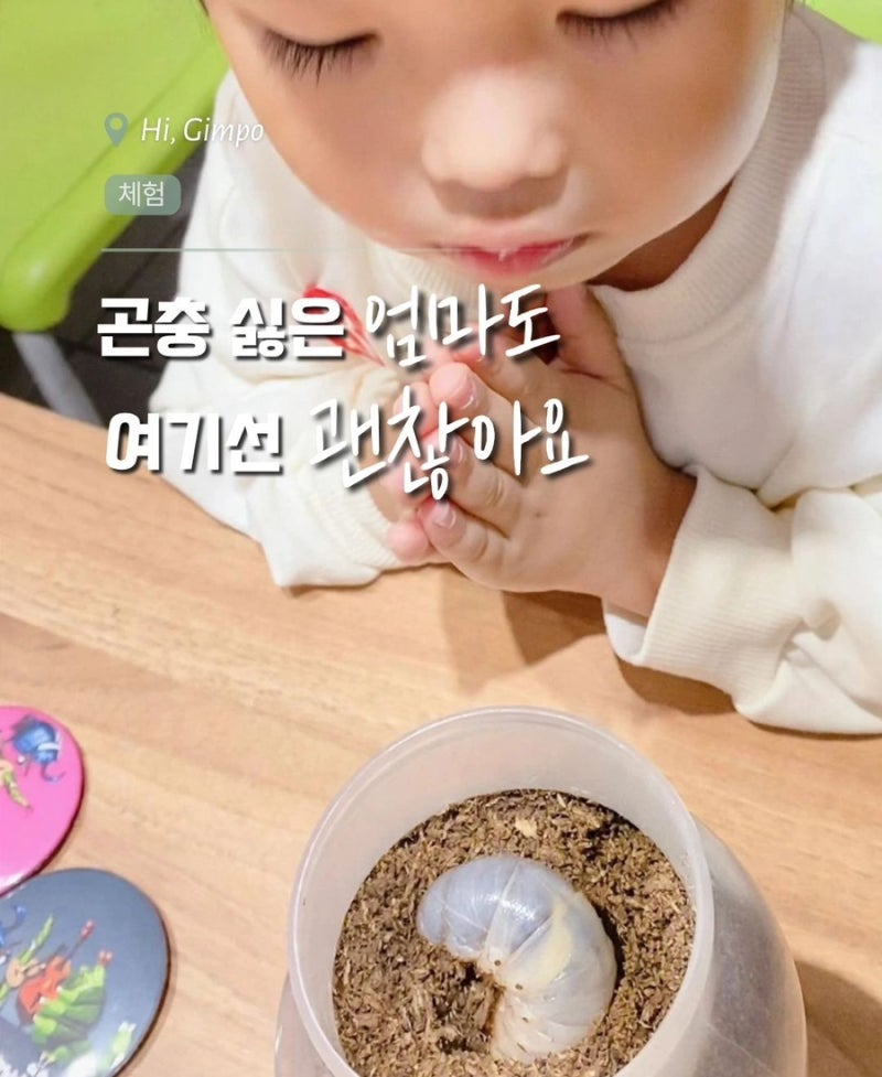김포 곤충체험 꿈꾸는 파브르 | 장수풍뎅이 애벌레에서 성충까지