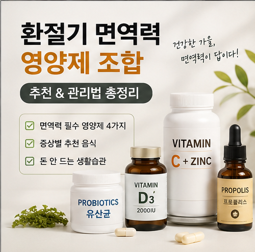 환절기 면역력 영양제 조합 추천 & 증상별 음식·생활습관 총정리