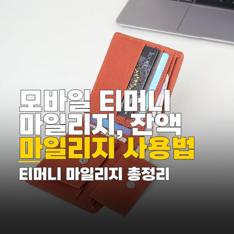 모바일 티머니 마일리지 빼는법, 잔액 전환 절차와 사용처 총정리