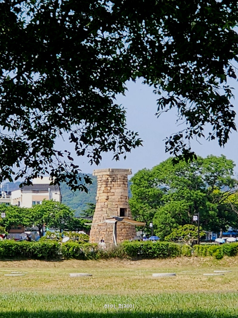 경주 공영자전거 타실라 대여 후기 + 이용방법과 요금, 반납까지
