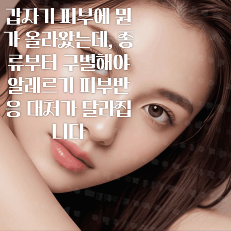 갑자기 피부에 뭔가 올라왔는데, 종류부터 구별해야 알레르기 피부반응 대처가 달라집니다