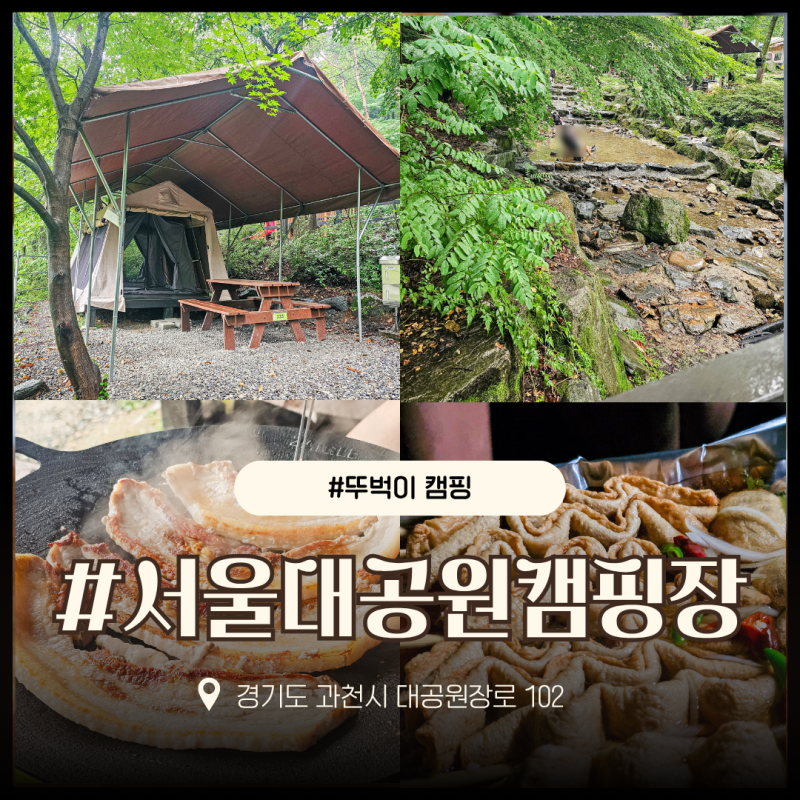 서울대공원캠핑장 예약부터 준비물까지, 대여로 해결한 8월 여름 뚜벅이 캠핑