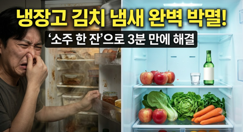 냉장고 김치 냄새 & 문틈 검은 곰팡이 '소주와 식초'로 3분 만에 싹 잡는 법