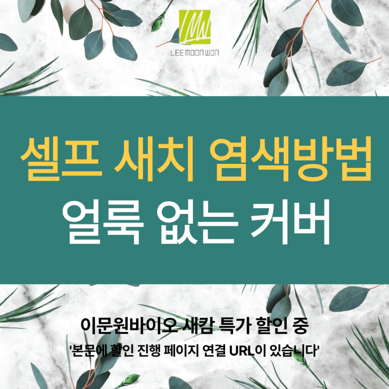 셀프 새치 염색방법 추천, 집에서 얼룩 없이 커버한 순서 후기