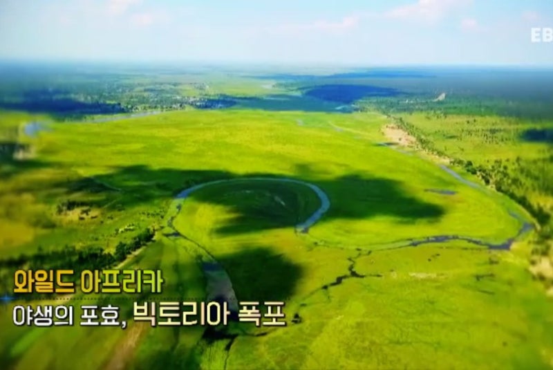 세계테마기행 스페셜 와일드 아프리카 1부 야생의 포효, 빅토리아 폭포 짐바브웨 잠베지강·....