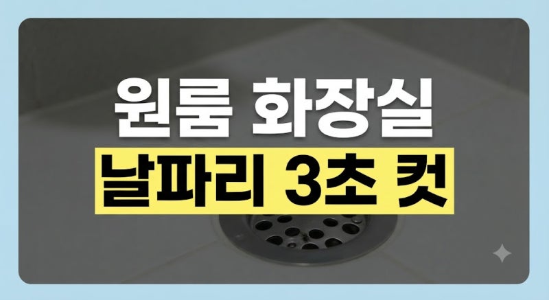 원룸 화장실 배수구 날파리 차단 약품 없이 해결했던 방법
