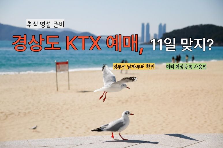 “추석 KTX 예매날 부산표 찾다가 시간 다 쓰면 어쩌지?”｜2026 경부선 승차권, 서울·동대구·....