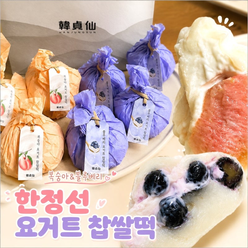 한정선 성수점(韓貞仙, HANJUNGSUN) // 요즘 핫한 과일 요거트 찹쌀떡 솔직후기, 웨이팅 시간